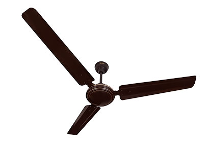 Bayar Fan