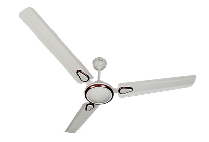 Chapla Ring fan
