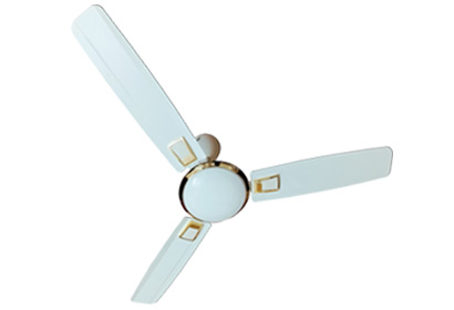 Chapla Tez Deluxe